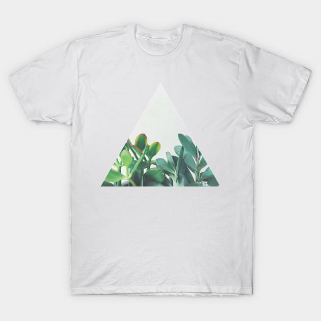 Crassula Group T-Shirt by Cassia